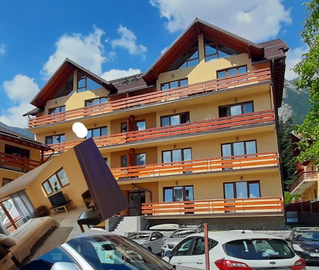 Kalinderu Skier'S Apartament Bellevue Busteni Exterior photo