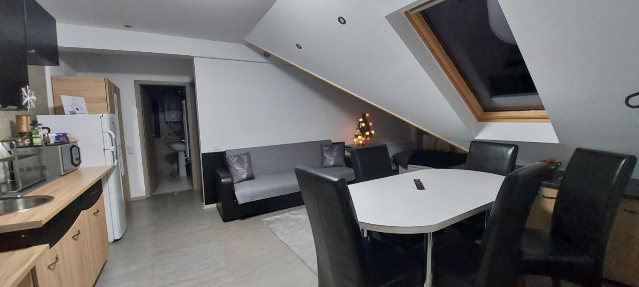 Kalinderu Skier'S Apartament Bellevue Busteni Exterior photo