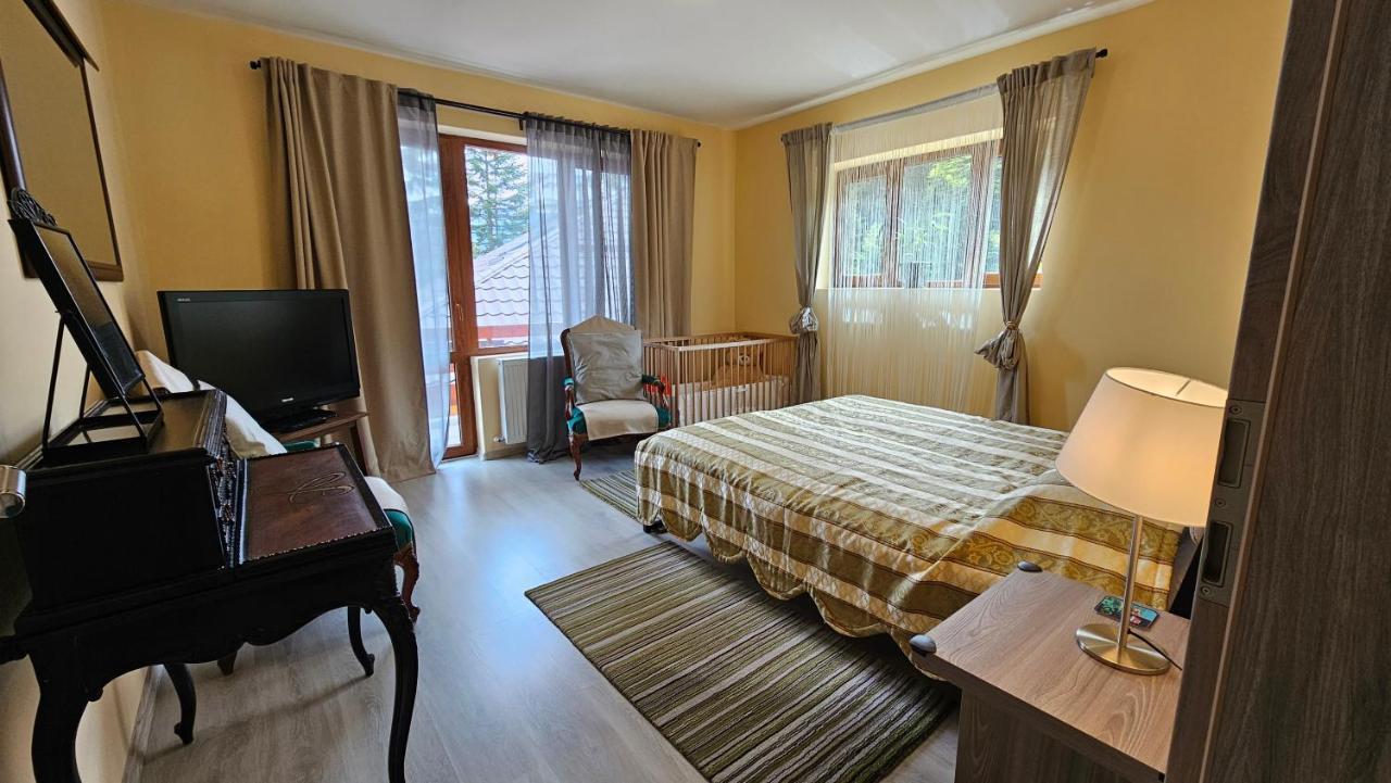 Kalinderu Skier'S Apartament Bellevue Busteni Exterior photo